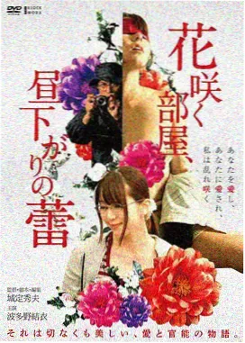 路牌背面条目封面,逆光下的路牌背影